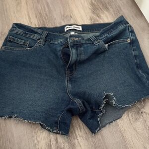 Denim Cutoff Shorts